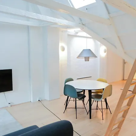 アパート Impressive Penthouse In The Heart Of - 64 コペンハーゲン